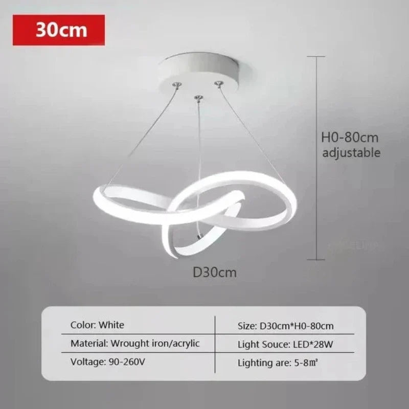 Modern LED Ceiling Light Fixture