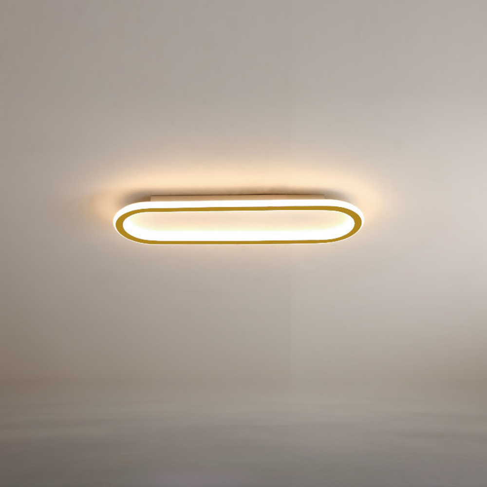 LED Acrylic Flush Mount Ceiling Light, Minimalist Design